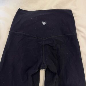 Aritzia Short
